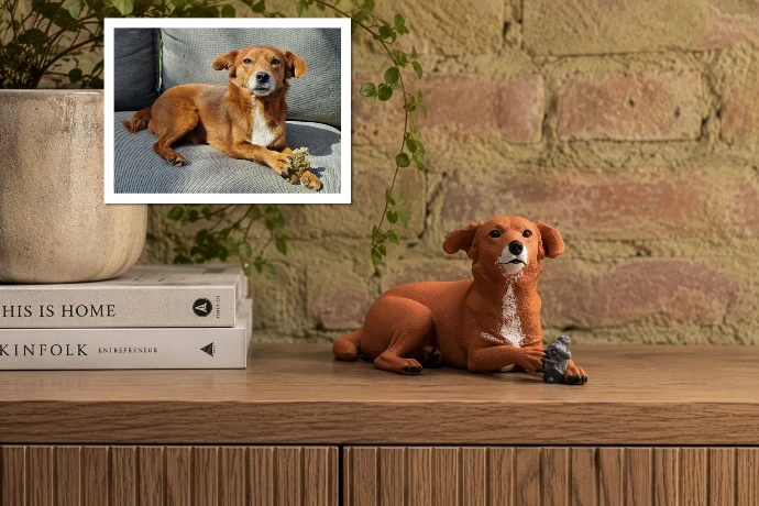 beeldje van een hond met de foto van de echte hond erachter