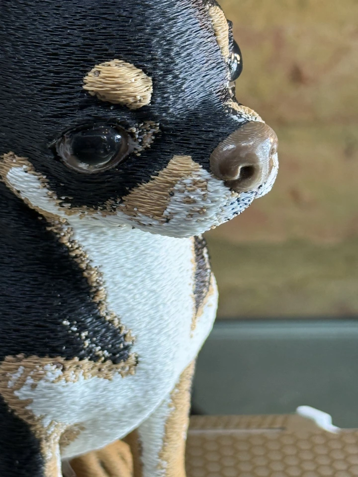 Close-up van Poekie zijn snoetje