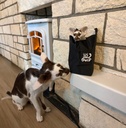 IMG_0530 kopie normaal.jpeg